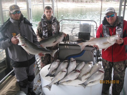 Nice Striped Bass